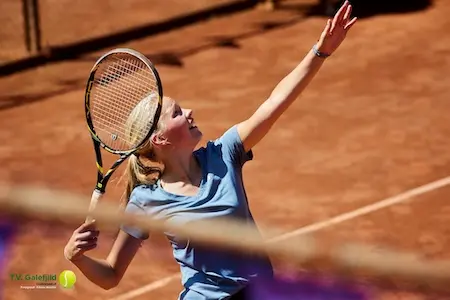 Albert Heijn Hardegarijp Galefjild Open - Foto 10