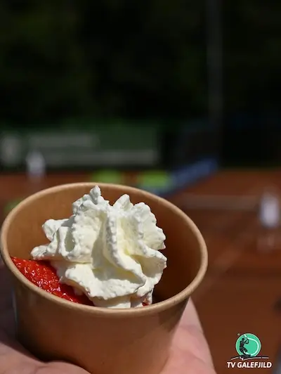 Albert Heijn Hardegarijp Galefjild Open - Foto 5